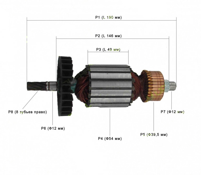 Якорь электропилы Rebir KZ1-350/400 - купить в Украине, Харьков, Киев ...